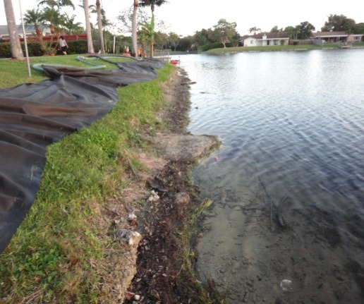 Step 1: Assess and prepare the shoreline