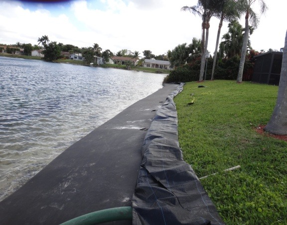 Step 4: Fill along the shoreline