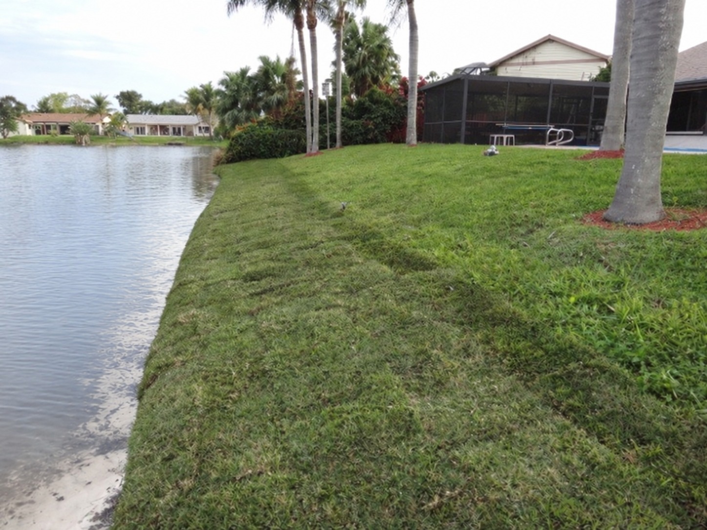 Step 7: Install and pin new sod