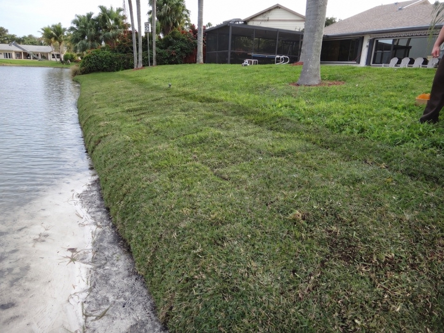 Step 8: Finish and water the grass
